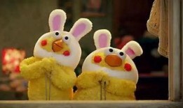 大头鹰爆料猪猪视频播放,猪猪视频播放背后的秘密